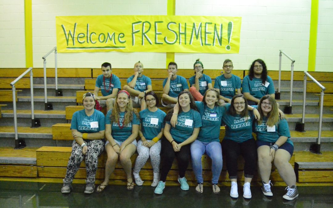 BMS/BHS student mentoring programs