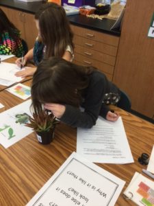 Student drawing cactus in art class