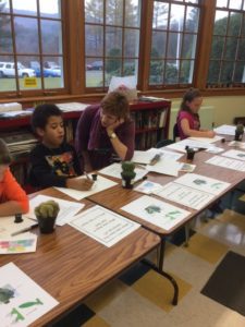 Student observing cactus in art class