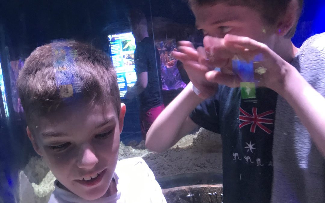 6th Graders Visit Aquarium