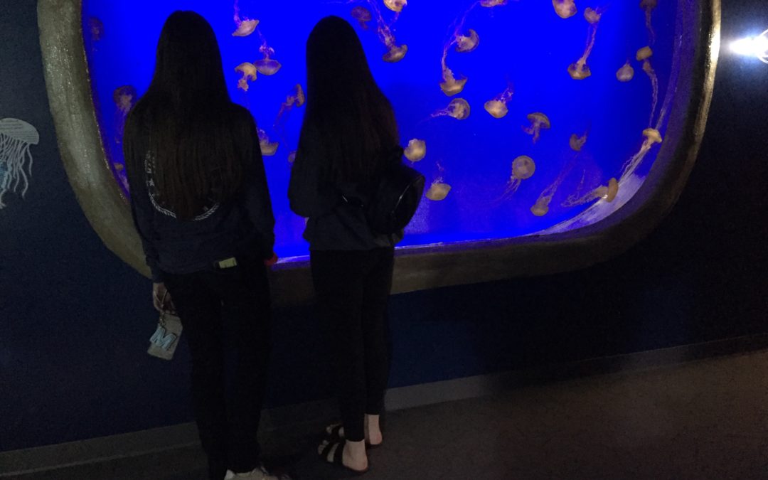 Students Visit Maritime Aquarium in Norwalk
