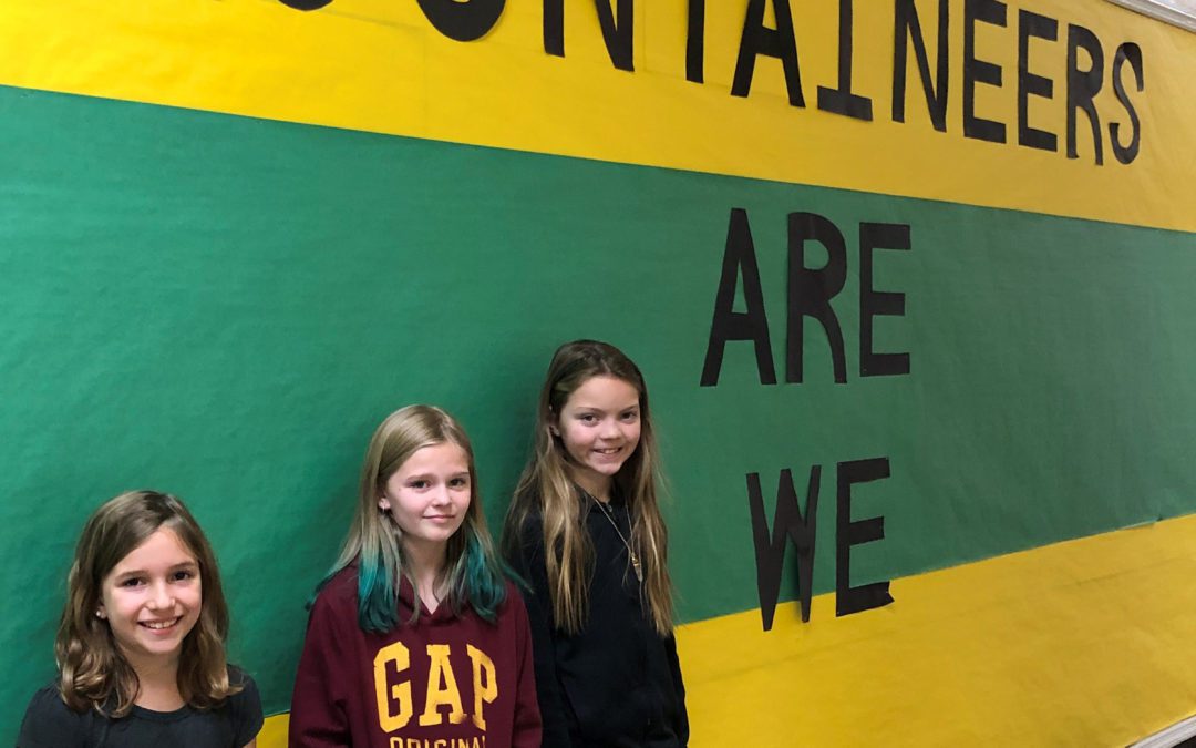 BES Ambassador Election