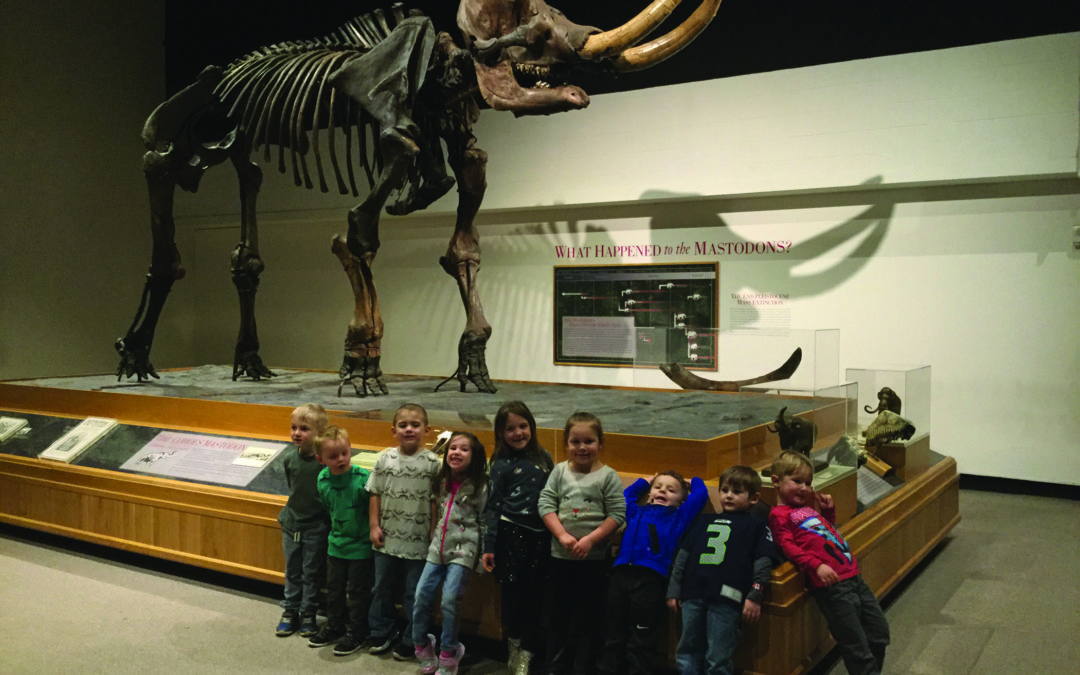 Pre-K Visits The New York State Museum