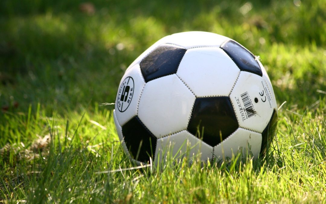 Wasaren League Postpones Fall Sports