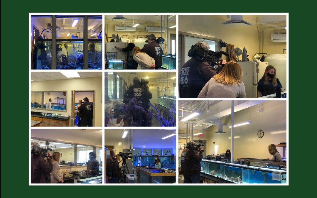 Update: BHS Aquatics Program Featured on This Week’s Positively Upstate