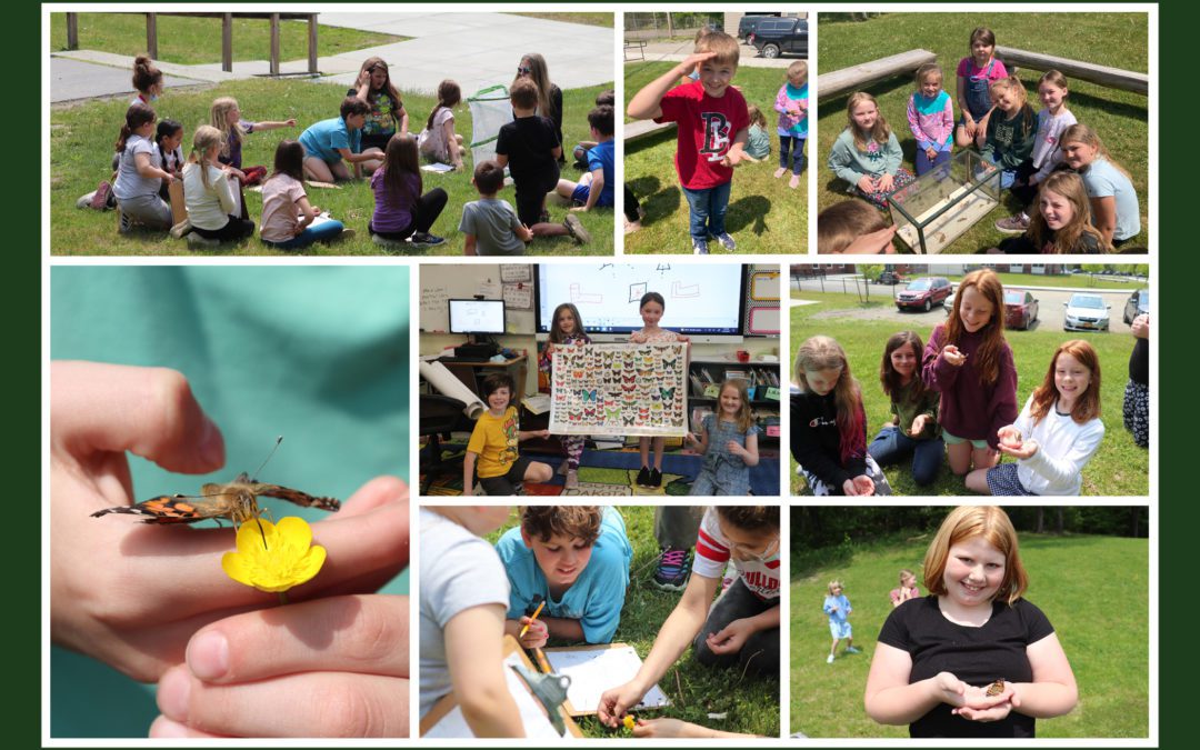 BES Third Grade Releases Butterflies at the Completion of Life Cycle Unit