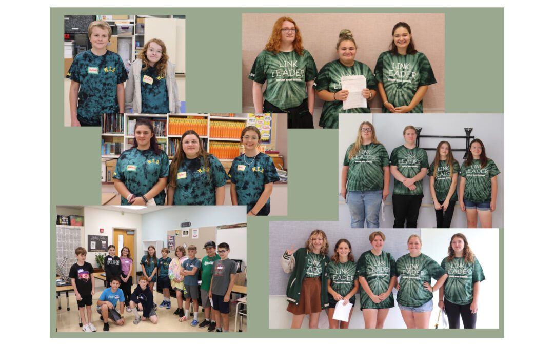 BMHS WEB and LINK Leaders Host Community Lessons & Activities