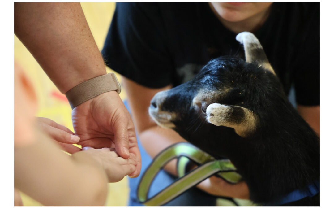 Toggenburg Goats Visit ESY